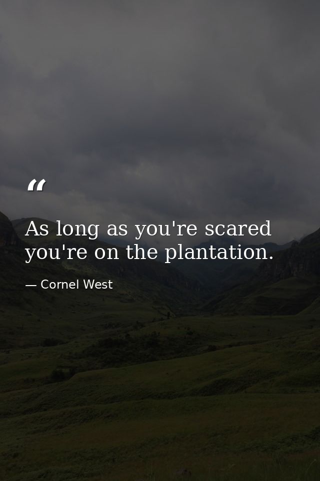 As long as you're scared you're on the plantation. — Cornel West