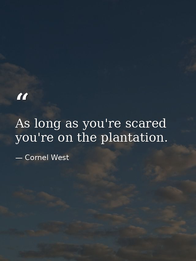 As long as you're scared you're on the plantation. — Cornel West