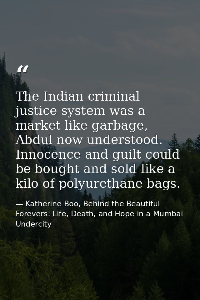 The Indian criminal justice system was a market like garbage, Abdul now understood. Innocence and guilt could be bought  — Katherine Boo, Behind the Beautiful Forevers: Life, Death, and Hope in a Mumbai Undercity