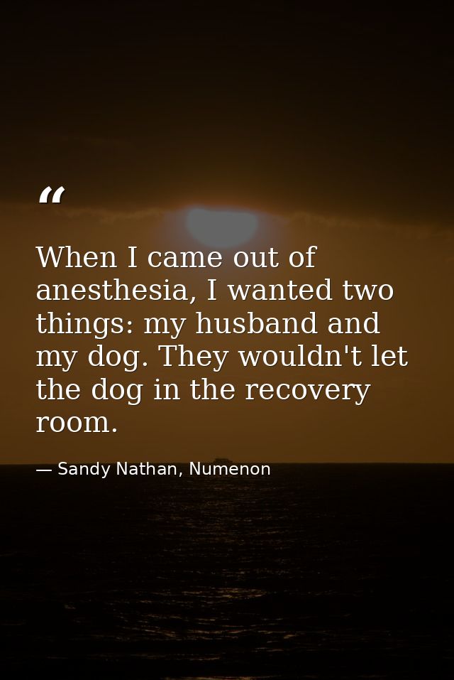 When I came out of anesthesia, I wanted two things: my husband and my dog. They wouldn't let the dog in the recovery roo — Sandy Nathan, Numenon