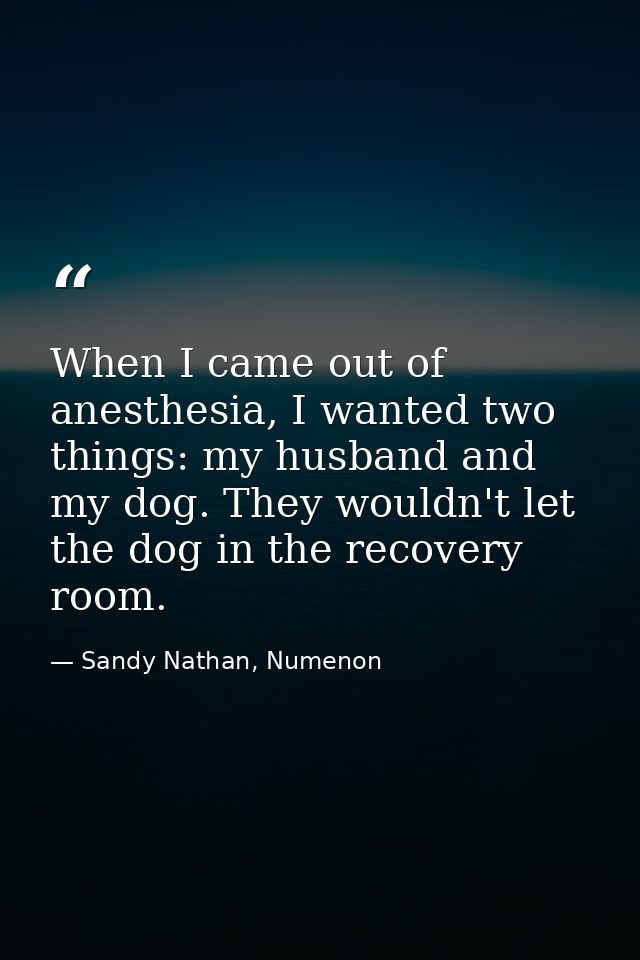When I came out of anesthesia, I wanted two things: my husband and my dog. They wouldn't let the dog in the recovery roo — Sandy Nathan, Numenon