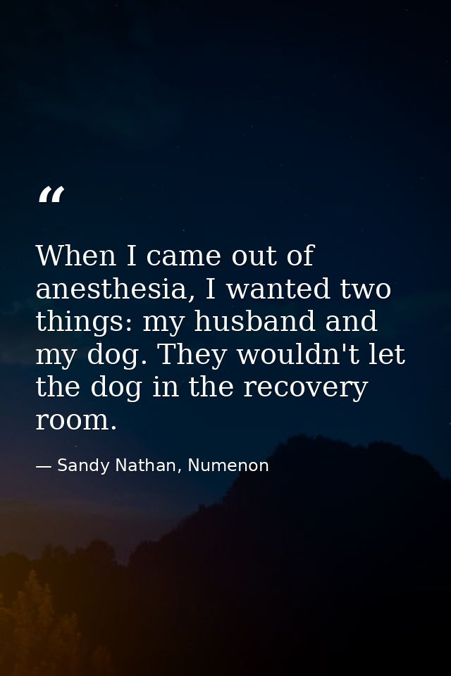 When I came out of anesthesia, I wanted two things: my husband and my dog. They wouldn't let the dog in the recovery roo — Sandy Nathan, Numenon