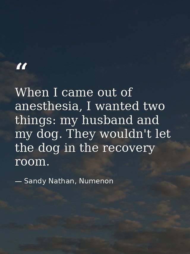 When I came out of anesthesia, I wanted two things: my husband and my dog. They wouldn't let the dog in the recovery roo — Sandy Nathan, Numenon