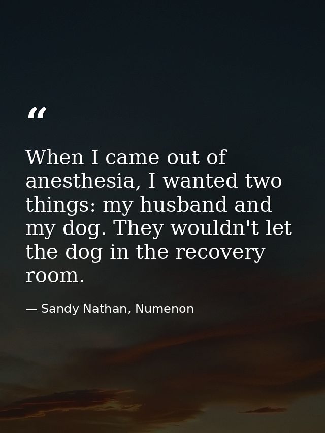 When I came out of anesthesia, I wanted two things: my husband and my dog. They wouldn't let the dog in the recovery roo — Sandy Nathan, Numenon