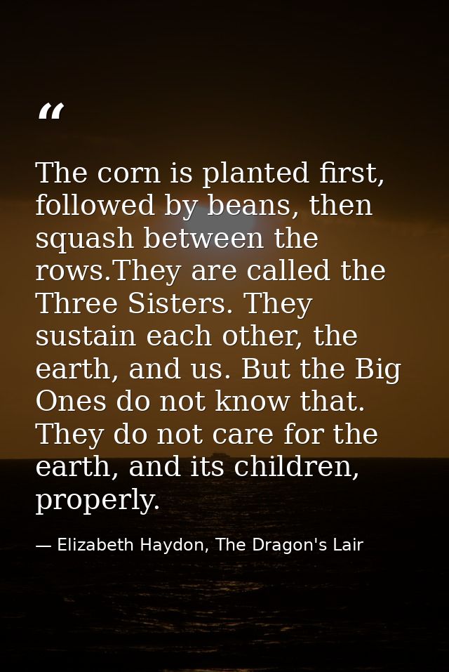The corn is planted first, followed by beans, then squash between the rows.They are called the Three Sisters. They susta — Elizabeth Haydon, The Dragon's Lair