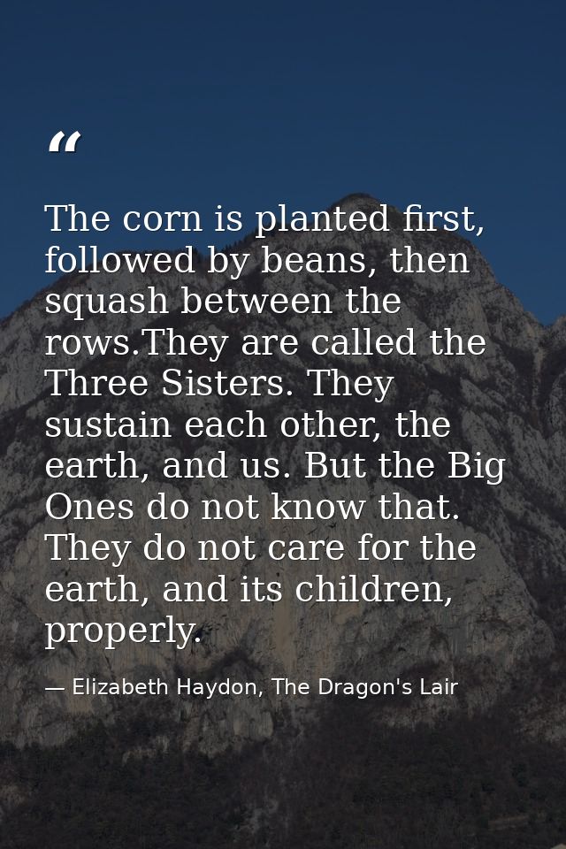 The corn is planted first, followed by beans, then squash between the rows.They are called the Three Sisters. They susta — Elizabeth Haydon, The Dragon's Lair