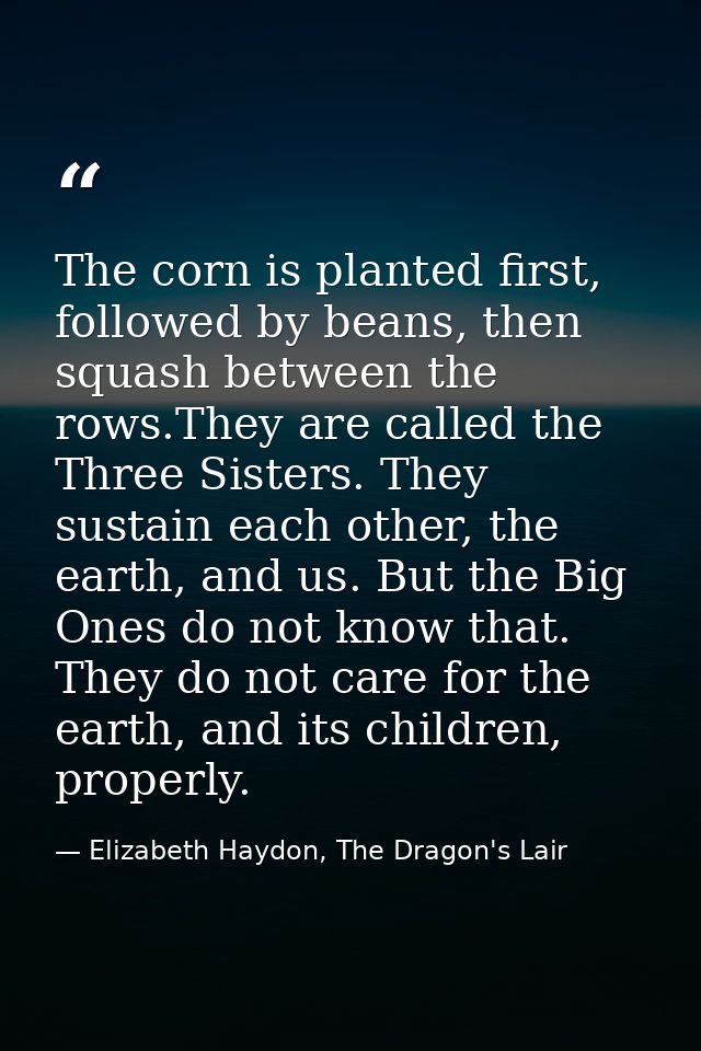 The corn is planted first, followed by beans, then squash between the rows.They are called the Three Sisters. They susta — Elizabeth Haydon, The Dragon's Lair