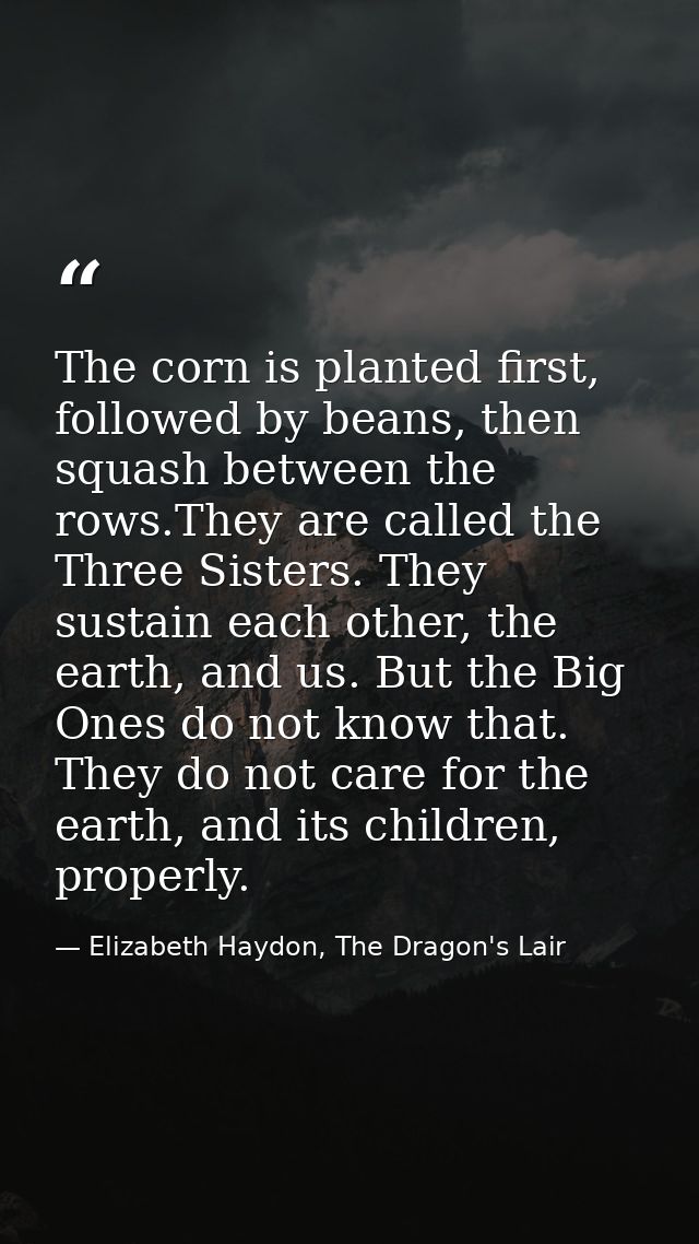 The corn is planted first, followed by beans, then squash between the rows.They are called the Three Sisters. They susta — Elizabeth Haydon, The Dragon's Lair
