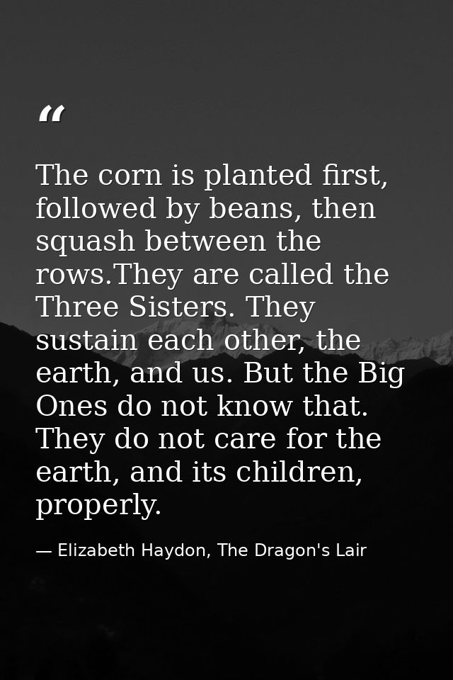 The corn is planted first, followed by beans, then squash between the rows.They are called the Three Sisters. They susta — Elizabeth Haydon, The Dragon's Lair