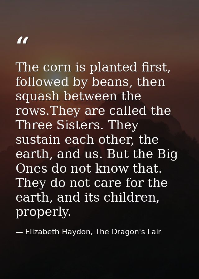 The corn is planted first, followed by beans, then squash between the rows.They are called the Three Sisters. They susta — Elizabeth Haydon, The Dragon's Lair
