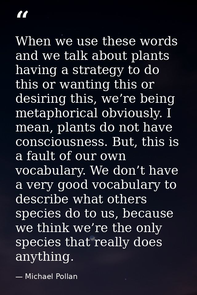 When we use these words and we talk about plants having a strategy to do this or wanting this or desiring this, we’re be — Michael Pollan