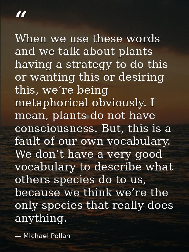 When we use these words and we talk about plants having a strategy to do this or wanting this or desiring this, we’re be — Michael Pollan