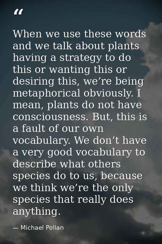 When we use these words and we talk about plants having a strategy to do this or wanting this or desiring this, we’re be — Michael Pollan