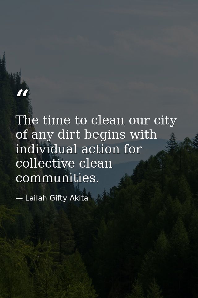The time to clean our city of any dirt begins with individual action for collective clean communities. — Lailah Gifty Akita