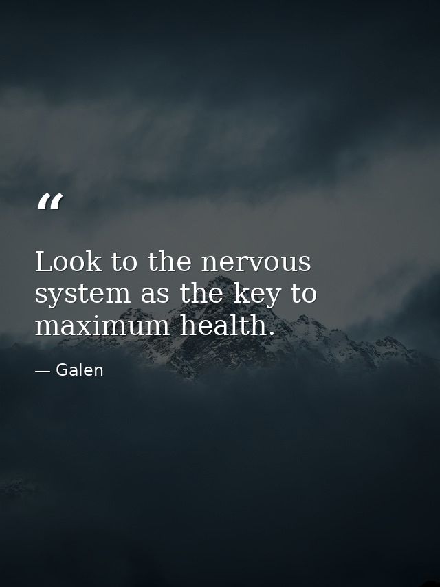 Look to the nervous system as the key to maximum health. — Galen
