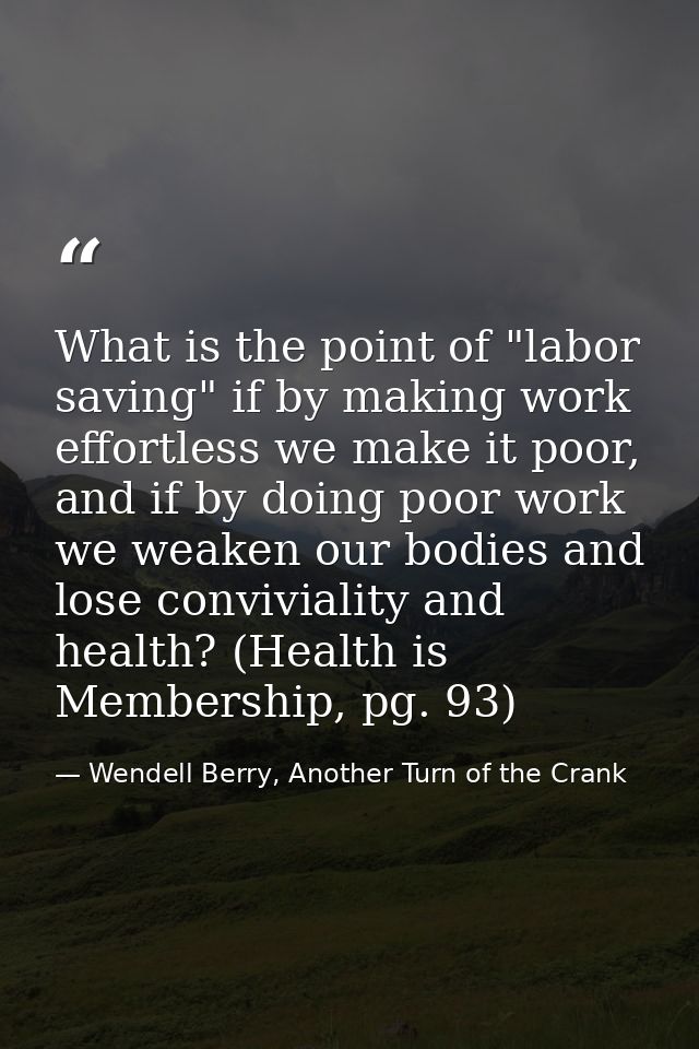 What is the point of "labor saving" if by making work effortless we make it poor, and if by doing poor work we weaken ou — Wendell Berry, Another Turn of the Crank