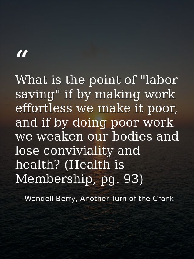 What is the point of "labor saving" if by making work effortless we make it poor, and if by doing poor work we weaken ou — Wendell Berry, Another Turn of the Crank