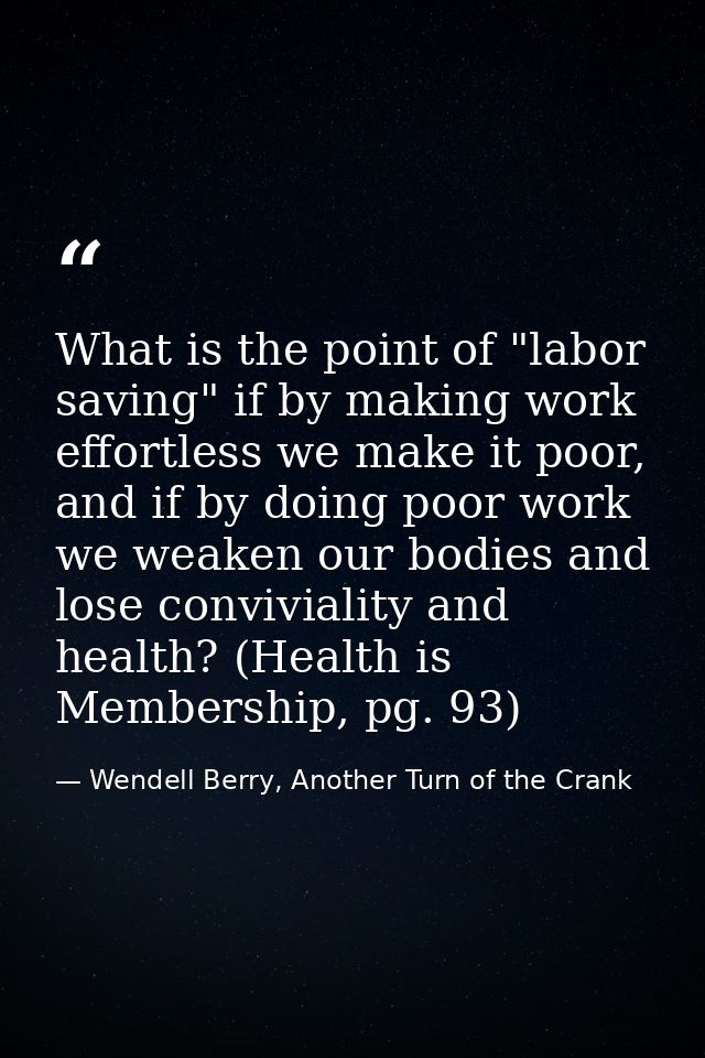 What is the point of "labor saving" if by making work effortless we make it poor, and if by doing poor work we weaken ou — Wendell Berry, Another Turn of the Crank