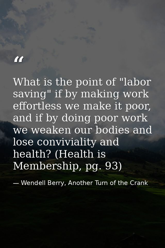 What is the point of "labor saving" if by making work effortless we make it poor, and if by doing poor work we weaken ou — Wendell Berry, Another Turn of the Crank