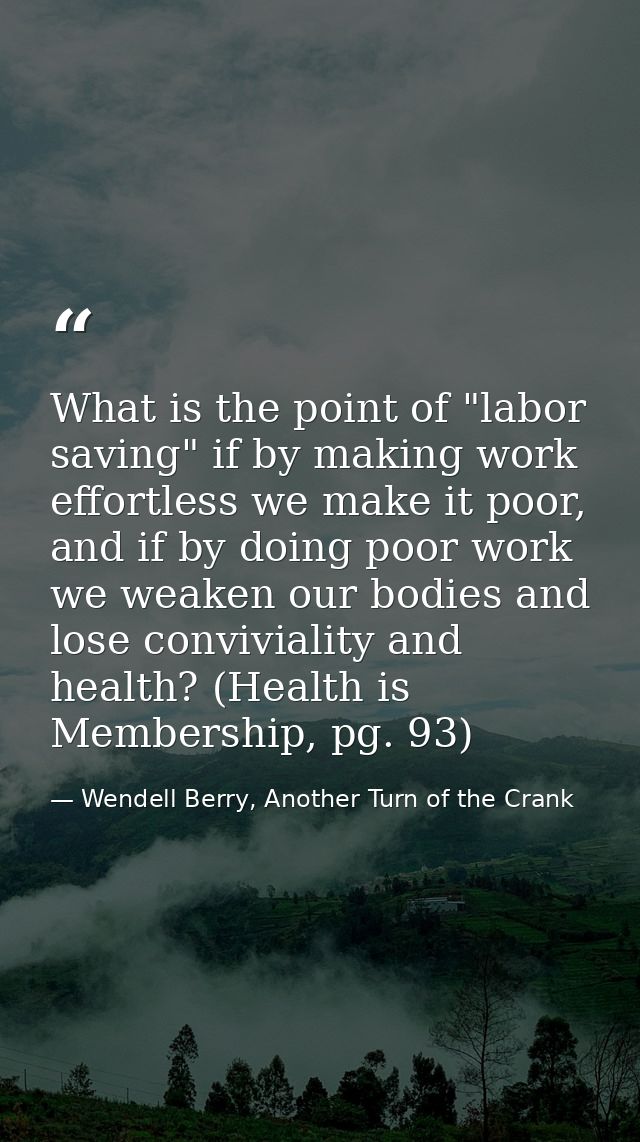 What is the point of "labor saving" if by making work effortless we make it poor, and if by doing poor work we weaken ou — Wendell Berry, Another Turn of the Crank