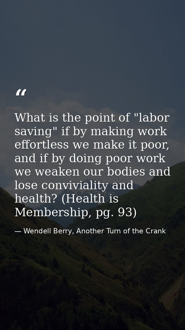 What is the point of "labor saving" if by making work effortless we make it poor, and if by doing poor work we weaken ou — Wendell Berry, Another Turn of the Crank