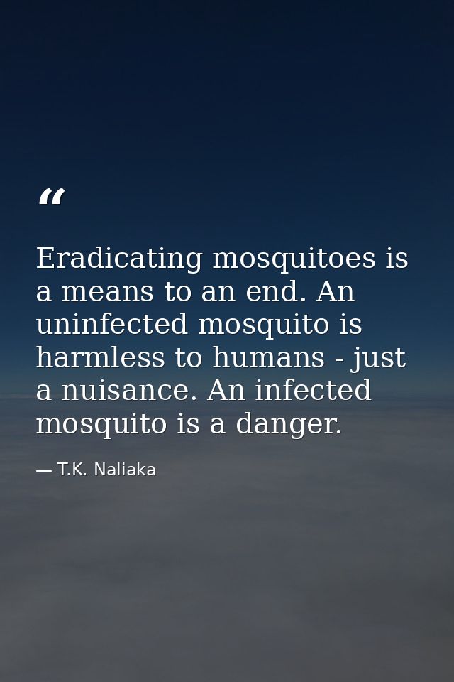 Eradicating mosquitoes is a means to an end. An uninfected mosquito is harmless to humans - just a nuisance. An infected — T.K. Naliaka