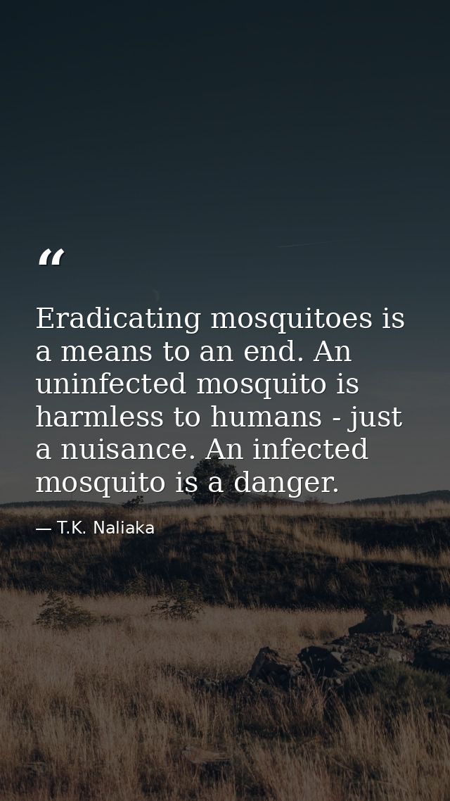 Eradicating mosquitoes is a means to an end. An uninfected mosquito is harmless to humans - just a nuisance. An infected — T.K. Naliaka
