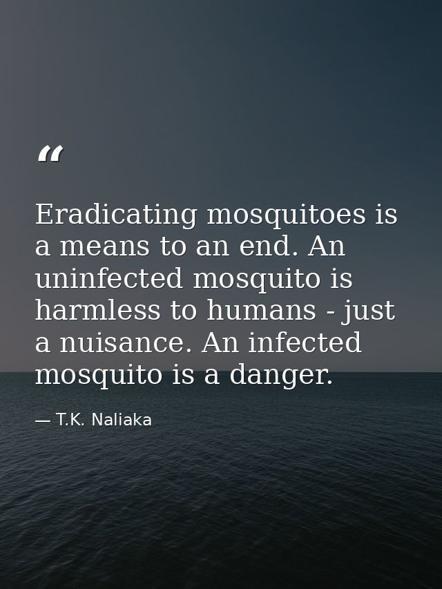 Eradicating mosquitoes is a means to an end. An uninfected mosquito is harmless to humans - just a nuisance. An infected — T.K. Naliaka