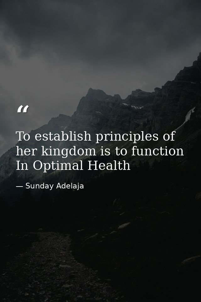 To establish principles of her kingdom is to function In Optimal Health — Sunday Adelaja