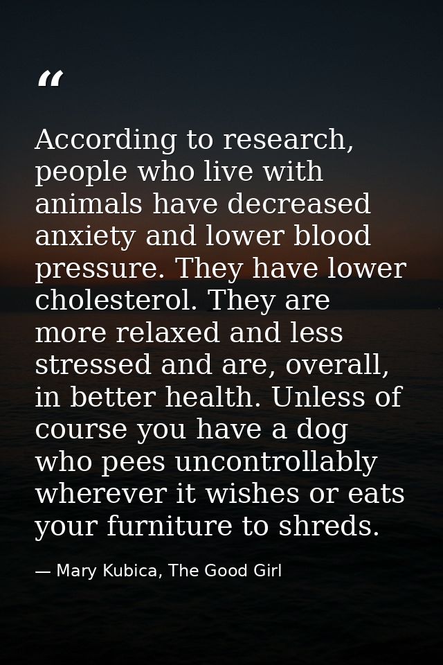 According to research, people who live with animals have decreased anxiety and lower blood pressure. They have lower cho — Mary Kubica, The Good Girl