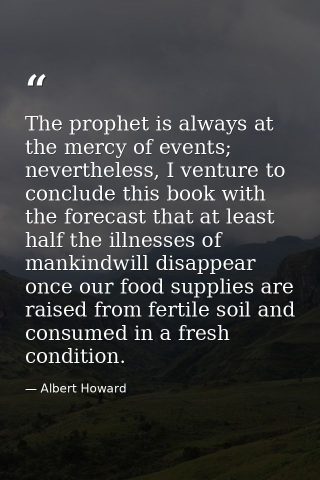 The prophet is always at the mercy of events; nevertheless, I venture to conclude this book with the forecast that at le — Albert Howard