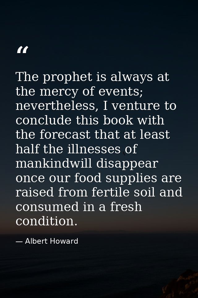 The prophet is always at the mercy of events; nevertheless, I venture to conclude this book with the forecast that at le — Albert Howard