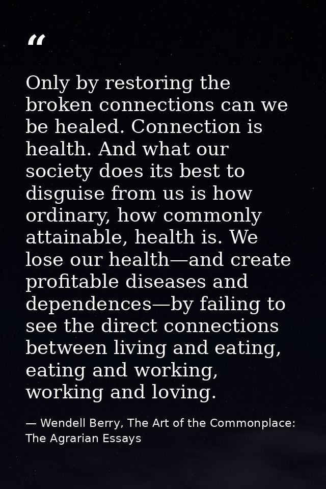 Only by restoring the broken connections can we be healed. Connection is health. And what our society does its best to d — Wendell Berry, The Art of the Commonplace: The Agrarian Essays