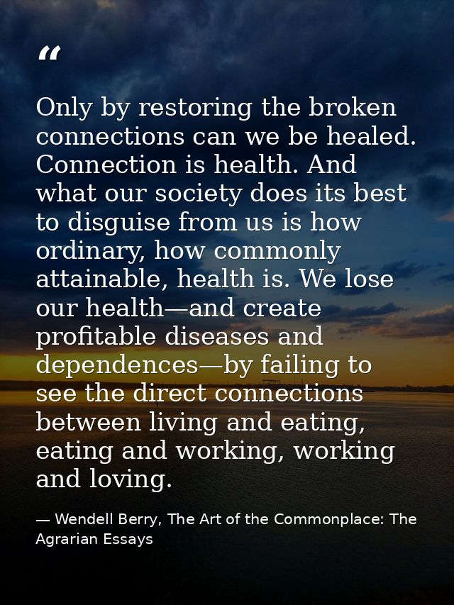 Only by restoring the broken connections can we be healed. Connection is health. And what our society does its best to d — Wendell Berry, The Art of the Commonplace: The Agrarian Essays