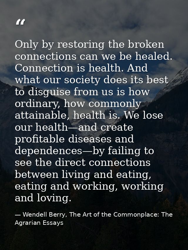 Only by restoring the broken connections can we be healed. Connection is health. And what our society does its best to d — Wendell Berry, The Art of the Commonplace: The Agrarian Essays