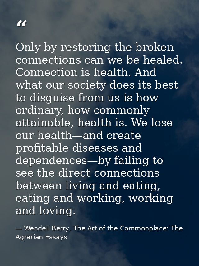 Only by restoring the broken connections can we be healed. Connection is health. And what our society does its best to d — Wendell Berry, The Art of the Commonplace: The Agrarian Essays
