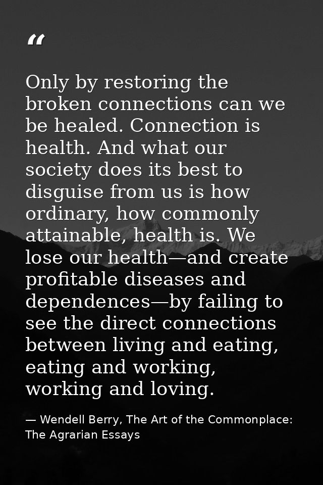 Only by restoring the broken connections can we be healed. Connection is health. And what our society does its best to d — Wendell Berry, The Art of the Commonplace: The Agrarian Essays