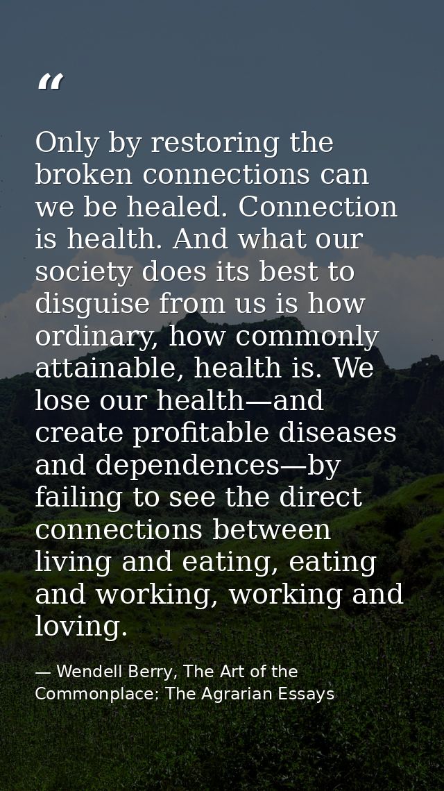 Only by restoring the broken connections can we be healed. Connection is health. And what our society does its best to d — Wendell Berry, The Art of the Commonplace: The Agrarian Essays