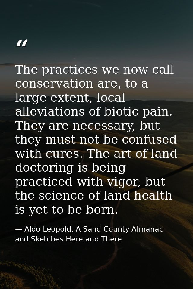 The practices we now call conservation are, to a large extent, local alleviations of biotic pain. They are necessary, bu — Aldo Leopold, A Sand County Almanac and Sketches Here and There