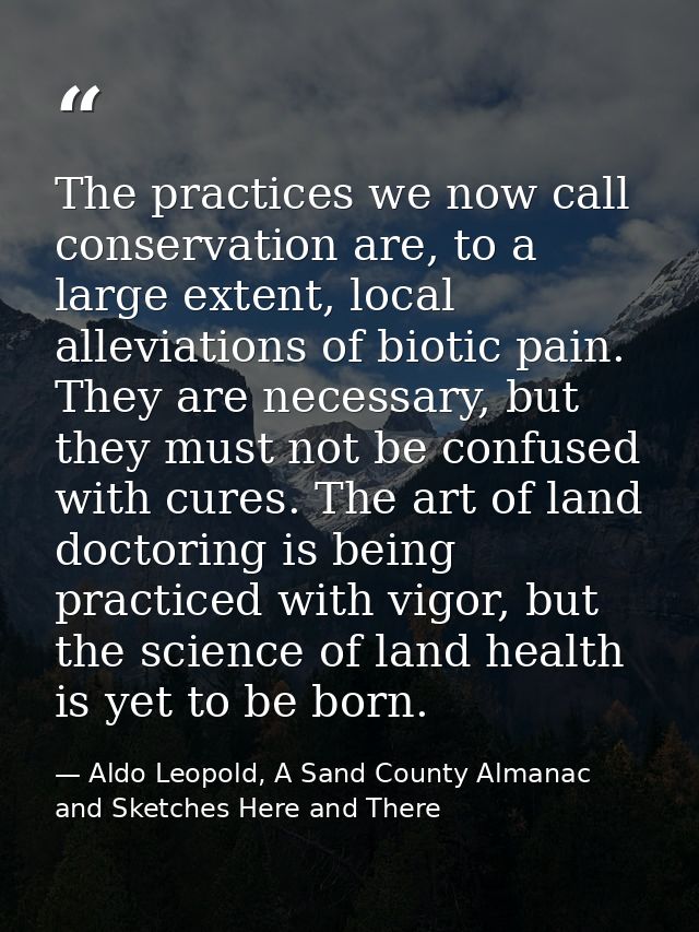 The practices we now call conservation are, to a large extent, local alleviations of biotic pain. They are necessary, bu — Aldo Leopold, A Sand County Almanac and Sketches Here and There