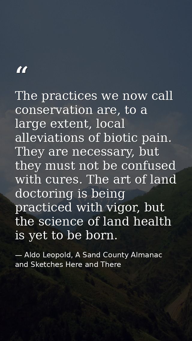 The practices we now call conservation are, to a large extent, local alleviations of biotic pain. They are necessary, bu — Aldo Leopold, A Sand County Almanac and Sketches Here and There