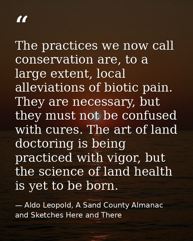 The practices we now call conservation are, to a large extent, local alleviations of biotic pain. They are necessary, bu — Aldo Leopold, A Sand County Almanac and Sketches Here and There
