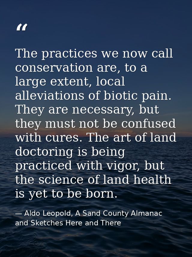 The practices we now call conservation are, to a large extent, local alleviations of biotic pain. They are necessary, bu — Aldo Leopold, A Sand County Almanac and Sketches Here and There