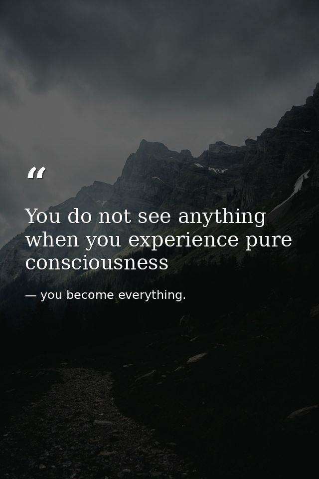 You do not see anything when you experience pure consciousness — you become everything.