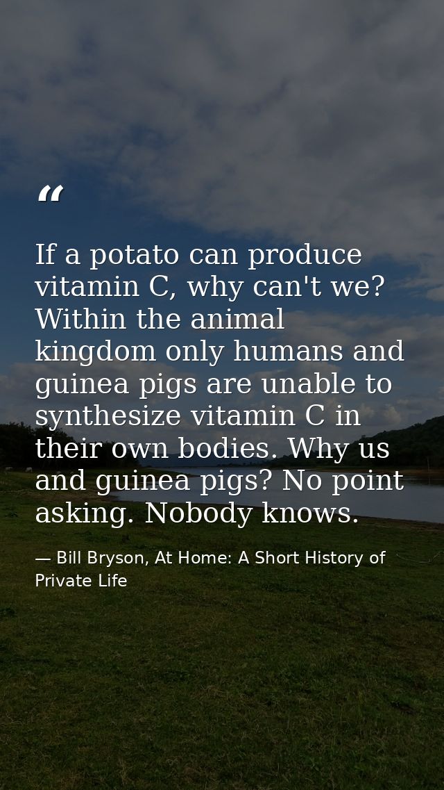 If a potato can produce vitamin C, why can't we? Within the animal kingdom only humans and guinea pigs are unable to syn — Bill Bryson, At Home: A Short History of Private Life