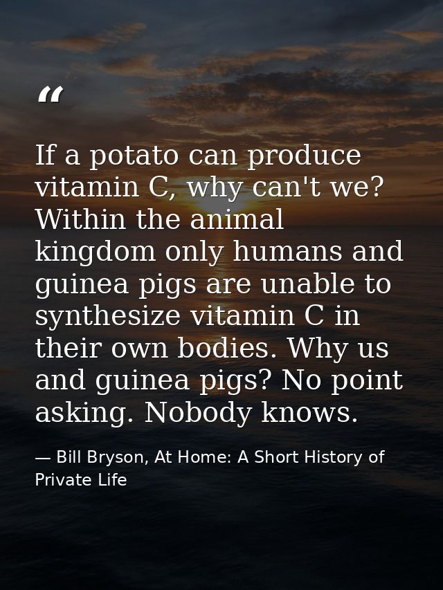 If a potato can produce vitamin C, why can't we? Within the animal kingdom only humans and guinea pigs are unable to syn — Bill Bryson, At Home: A Short History of Private Life