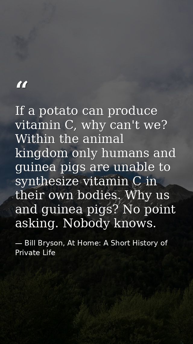 If a potato can produce vitamin C, why can't we? Within the animal kingdom only humans and guinea pigs are unable to syn — Bill Bryson, At Home: A Short History of Private Life