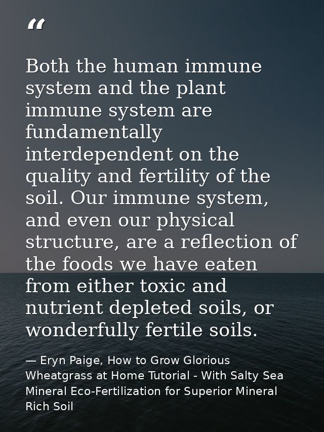 Both the human immune system and the plant immune system are fundamentally interdependent on the quality and fertility o — Eryn Paige, How to Grow Glorious Wheatgrass at Home Tutorial - With Salty Sea Mineral Eco-Fertilization for Superior Mineral Rich Soil