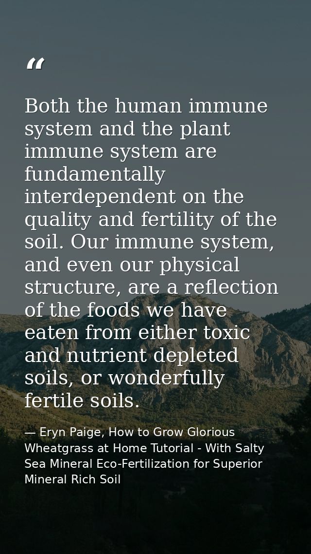 Both the human immune system and the plant immune system are fundamentally interdependent on the quality and fertility o — Eryn Paige, How to Grow Glorious Wheatgrass at Home Tutorial - With Salty Sea Mineral Eco-Fertilization for Superior Mineral Rich Soil
