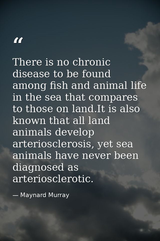 There is no chronic disease to be found among fish and animal life in the sea that compares to those on land.It is also  — Maynard Murray